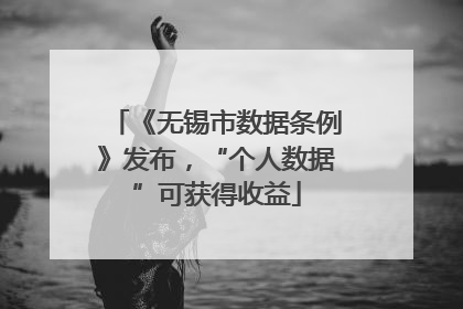 《无锡市数据条例》发布，“个人数据”可获得收益