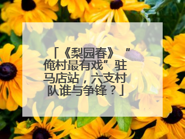 《梨园春》“俺村最有戏”驻马店站，六支村队谁与争锋？
