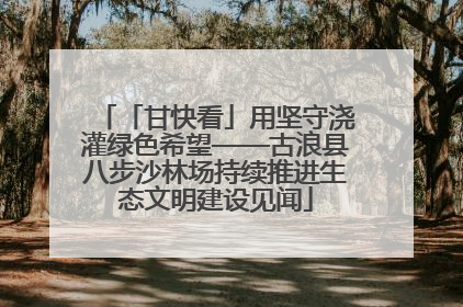 「甘快看」用坚守浇灌绿色希望——古浪县八步沙林场持续推进生态文明建设见闻