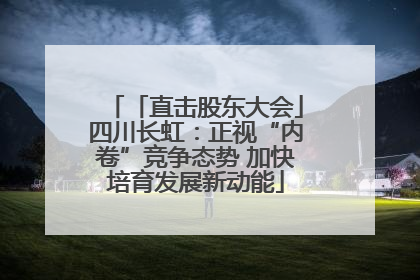 「直击股东大会」四川长虹：正视“内卷”竞争态势 加快培育发展新动能