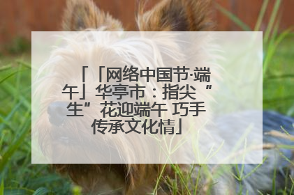 「网络中国节·端午」华亭市：指尖“生”花迎端午 巧手传承文化情