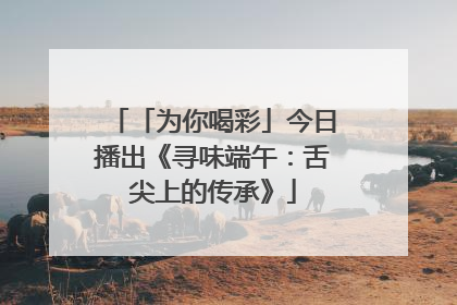 「为你喝彩」今日播出《寻味端午：舌尖上的传承》