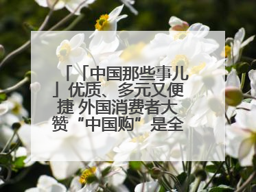 「中国那些事儿」优质、多元又便捷 外国消费者大赞“中国购”是全新体验！