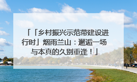 「乡村振兴示范带建设进行时」烟雨兰山：邂逅一场与本真的久别重逢！