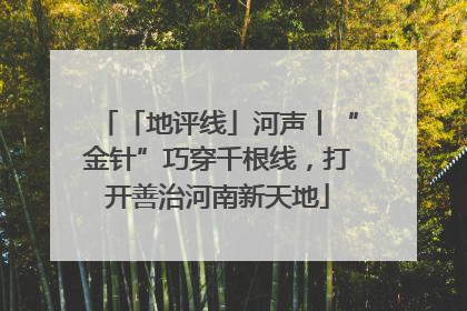 「地评线」河声丨“金针”巧穿千根线，打开善治河南新天地