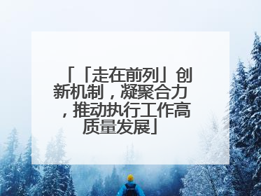 「走在前列」创新机制，凝聚合力，推动执行工作高质量发展