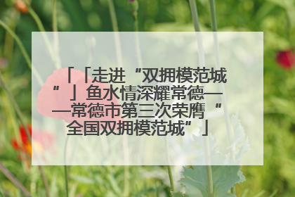 「走进“双拥模范城”」鱼水情深耀常德——常德市第三次荣膺“全国双拥模范城”