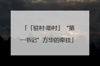「驻村·助村」“第一书记”方华的牵挂