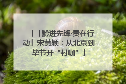 「黔进先锋·贵在行动」宋慧颖：从北京到毕节开“村咖”