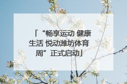 “畅享运动 健康生活 悦动潍坊体育周”正式启动