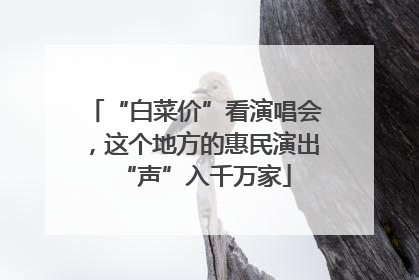 “白菜价”看演唱会，这个地方的惠民演出“声”入千万家