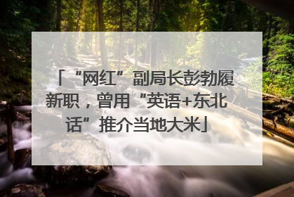 “网红”副局长彭勃履新职，曾用“英语+东北话”推介当地大米
