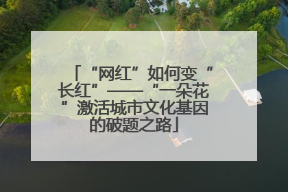 “网红”如何变“长红”——“一朵花”激活城市文化基因的破题之路