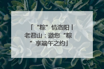 “粽”情洛阳丨老君山：邀您“粽”享端午之约