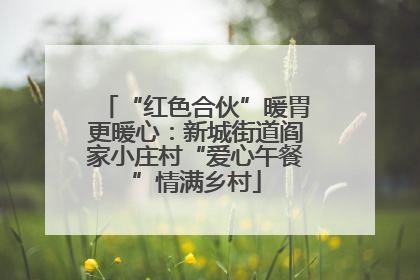 “红色合伙”暖胃更暖心：新城街道阎家小庄村“爱心午餐”情满乡村