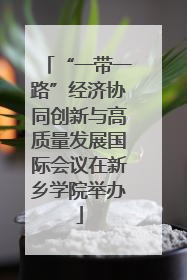 “一带一路”经济协同创新与高质量发展国际会议在新乡学院举办
