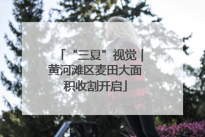 “三夏”视觉｜黄河滩区麦田大面积收割开启