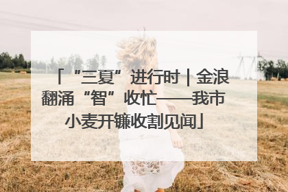 “三夏”进行时｜金浪翻涌“智”收忙——我市小麦开镰收割见闻