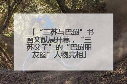 “三苏与巴蜀”书画文献展开幕，“三苏父子”的“巴蜀朋友圈”人物亮相
