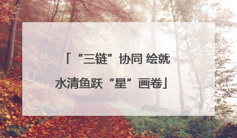 “三链”协同 绘就水清鱼跃“星”画卷