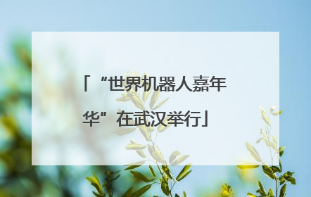 “世界机器人嘉年华”在武汉举行