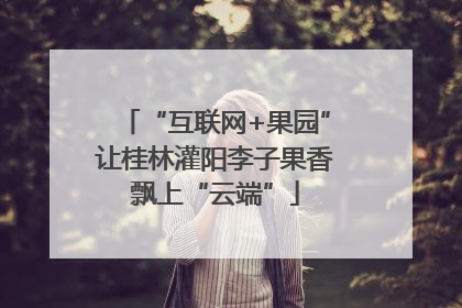 “互联网+果园”让桂林灌阳李子果香飘上“云端”
