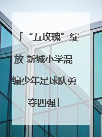 “五玫瑰”绽放 新城小学混编少年足球队勇夺四强