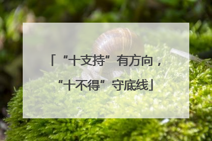 “十支持”有方向，“十不得”守底线