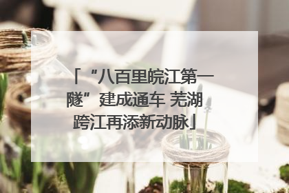 “八百里皖江第一隧”建成通车 芜湖跨江再添新动脉