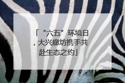 “六五”环境日，大兴廊坊携手共赴生态之约
