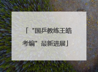 “国乒教练王皓考编”最新进展
