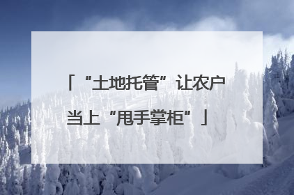“土地托管”让农户当上“甩手掌柜”