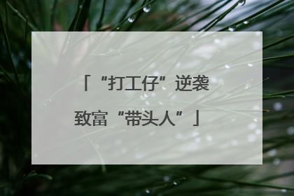“打工仔”逆袭致富“带头人”