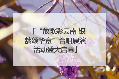 “放歌彩云南 银龄颂华章”合唱展演活动盛大启幕