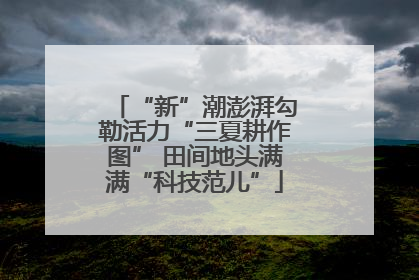 “新”潮澎湃勾勒活力“三夏耕作图” 田间地头满满“科技范儿”