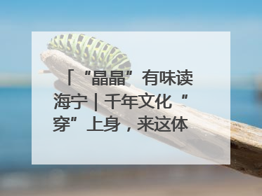 “晶晶”有味读海宁｜千年文化“穿”上身，来这体验非遗旅拍！