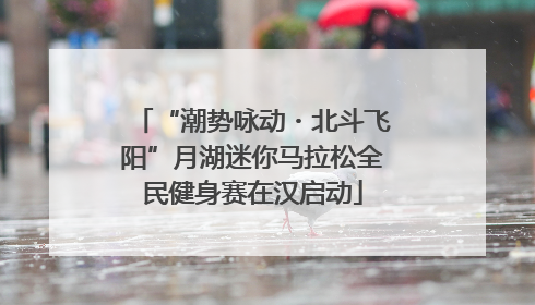 “潮势咏动・北斗飞阳”月湖迷你马拉松全民健身赛在汉启动