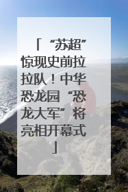 “苏超”惊现史前拉拉队！中华恐龙园“恐龙大军”将亮相开幕式
