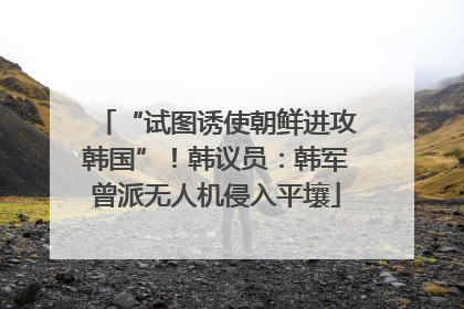 “试图诱使朝鲜进攻韩国”！韩议员：韩军曾派无人机侵入平壤