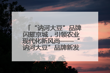 “讷河大豆”品牌闪耀京城，引领农业现代化新风尚——“讷河大豆”品牌新发地推介会圆满落幕