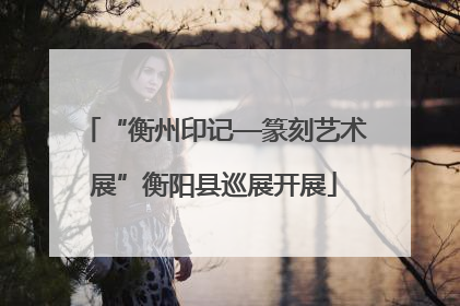 “衡州印记—篆刻艺术展”衡阳县巡展开展