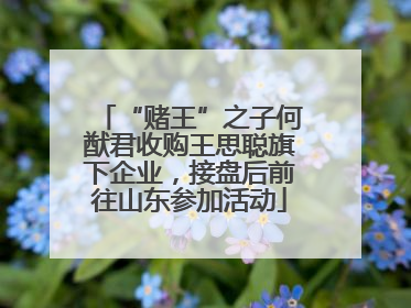 “赌王”之子何猷君收购王思聪旗下企业，接盘后前往山东参加活动