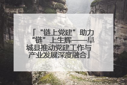 “链上党建”助力“链”上生辉——阜城县推动党建工作与产业发展深度融合