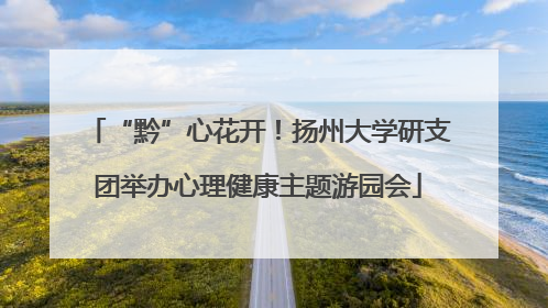 “黔”心花开！扬州大学研支团举办心理健康主题游园会