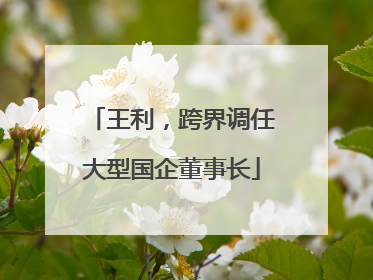 王利，跨界调任大型国企董事长