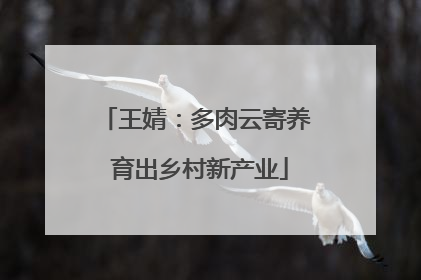 王婧：多肉云寄养 育出乡村新产业
