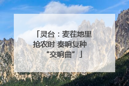 灵台：麦茬地里抢农时 奏响复种“交响曲”