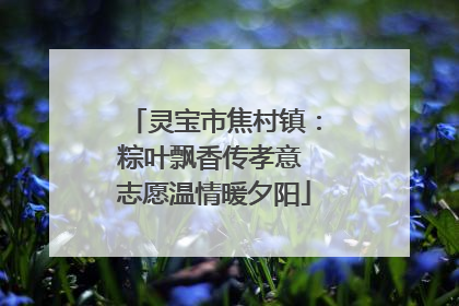 灵宝市焦村镇：粽叶飘香传孝意 志愿温情暖夕阳