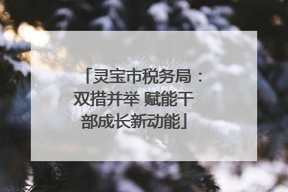 灵宝市税务局：双措并举 赋能干部成长新动能