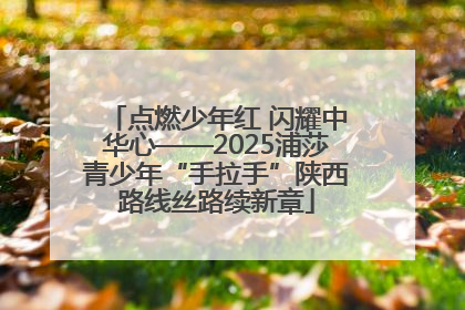 点燃少年红 闪耀中华心——2025浦莎青少年“手拉手”陕西路线丝路续新章